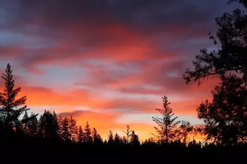 15314 Mitchell Mine Rd, Pine Grove, CA 95665 photo 12