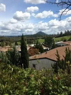 20 Rollingwood Spc Dr #99, Jackson, CA 95642 photo 12