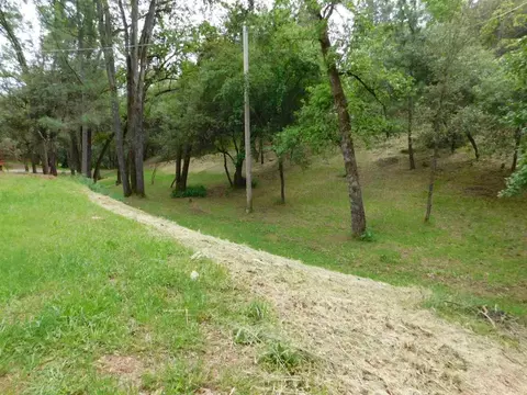 18704 Clinton, Jackson, CA 95642 photo 11