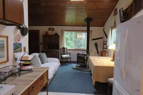 22305 Shake Ridge Rd, Volcano, CA 95689 photo 3