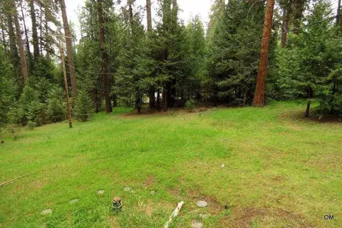 22305 Shake Ridge Rd, Volcano, CA 95689 photo 10