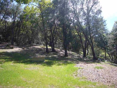 17900 Redberry Ln, Jackson, CA 95642 photo 21