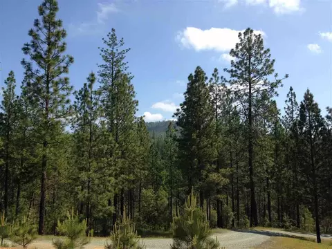 19216 W Clinton Rd, Jackson, CA 95642 photo 24