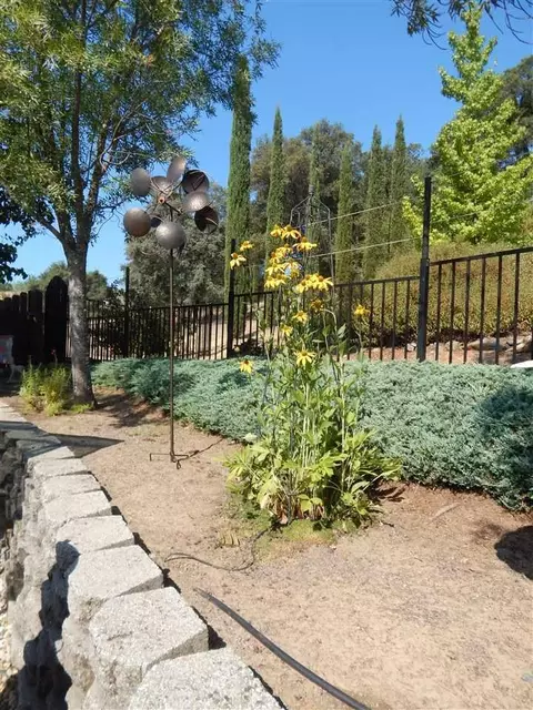120 Muldoon, Jackson, CA 95642 photo 20