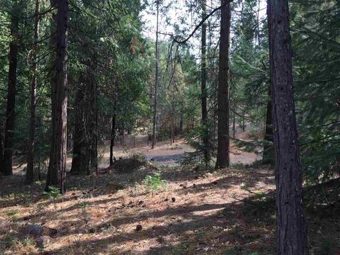 135 Robbinville Dr, West Point, CA 95255 photo 11