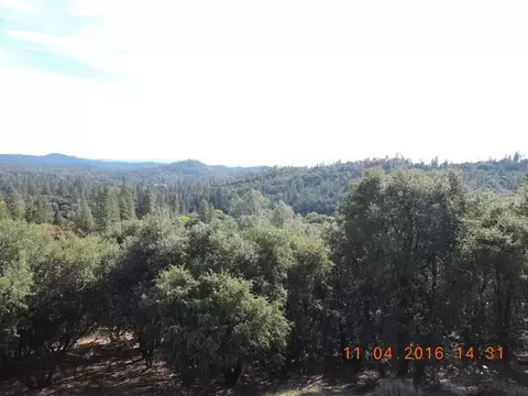 18555 Climax Rd, Jackson, CA 95642 photo 18