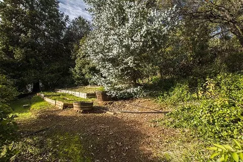 17973 Carter Ln, Jackson, CA 95642 photo 28