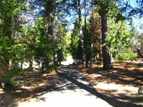 20155 Pine West Dr, Volcano, CA 95689 photo 23