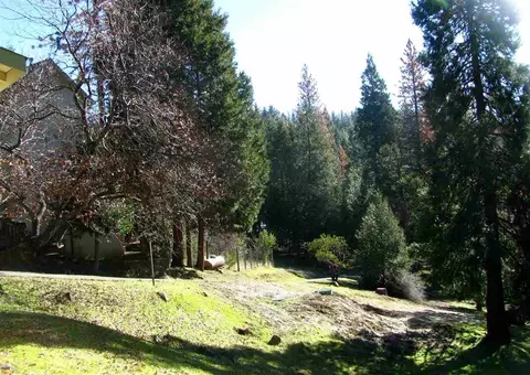 20155 Pine West Dr, Volcano, CA 95689 photo 31