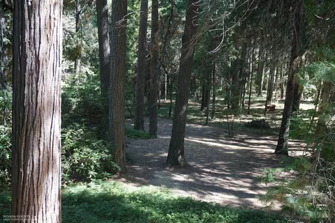 Undisclosed, Grass Valley, CA 95945 photo 28