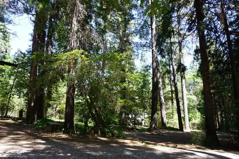 Undisclosed, Grass Valley, CA 95945 photo 29