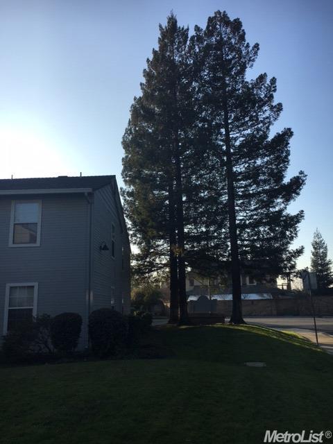 2400 Eilers Ln #1401, Lodi, CA 95242 photo 17