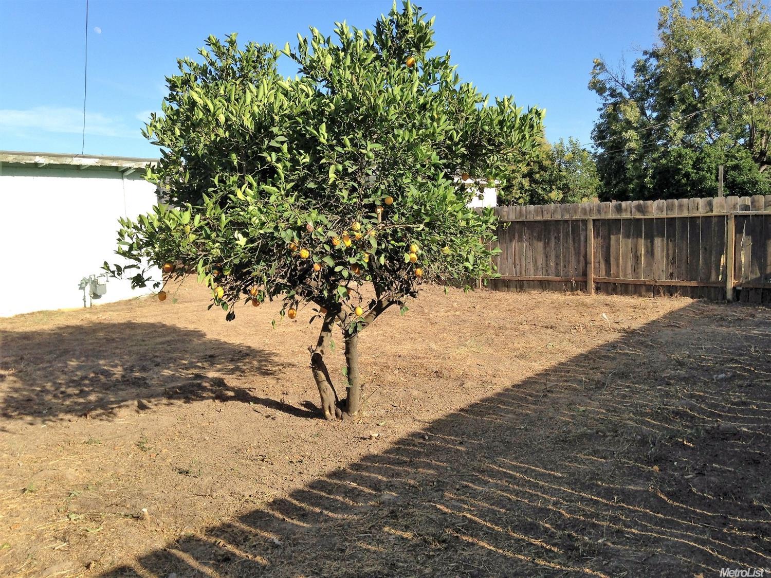 1437 S School St, Lodi, CA 95240 photo 5
