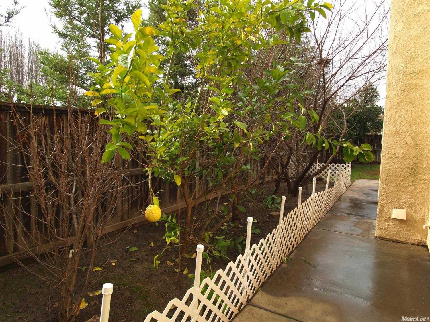 4001 Sterling Ct, Modesto, CA 95357 photo 35