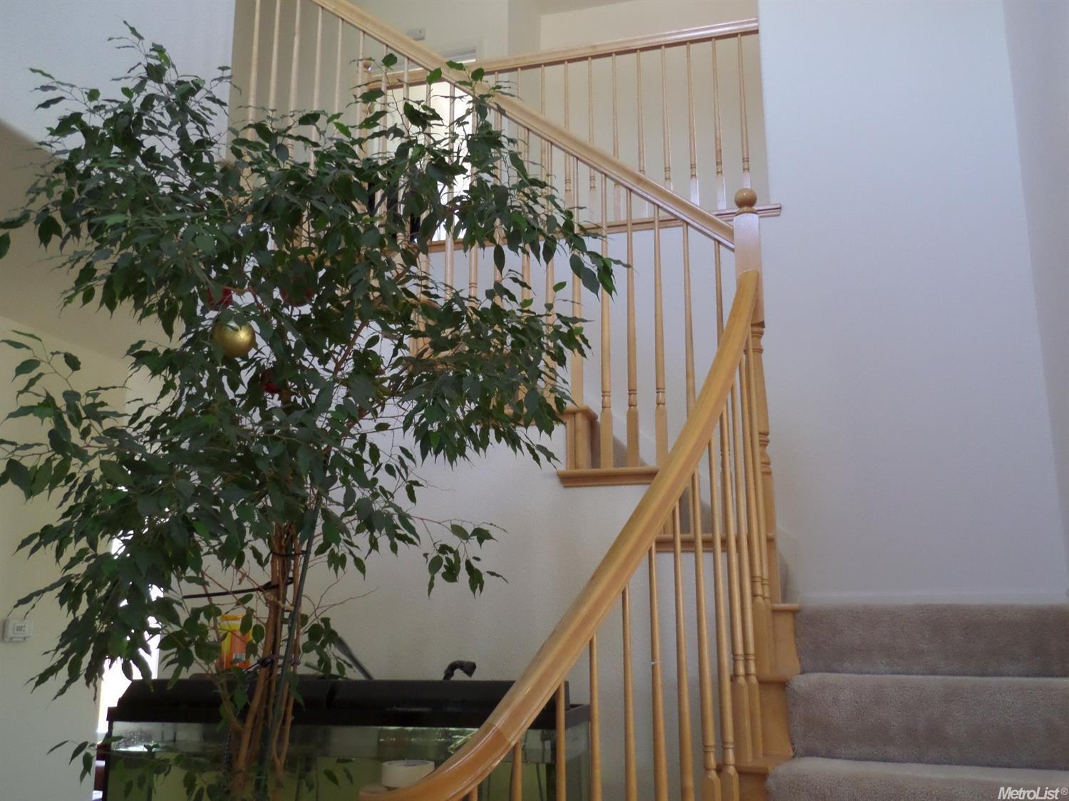 4707 Glenbrook Dr, Tracy, CA 95377 photo 5