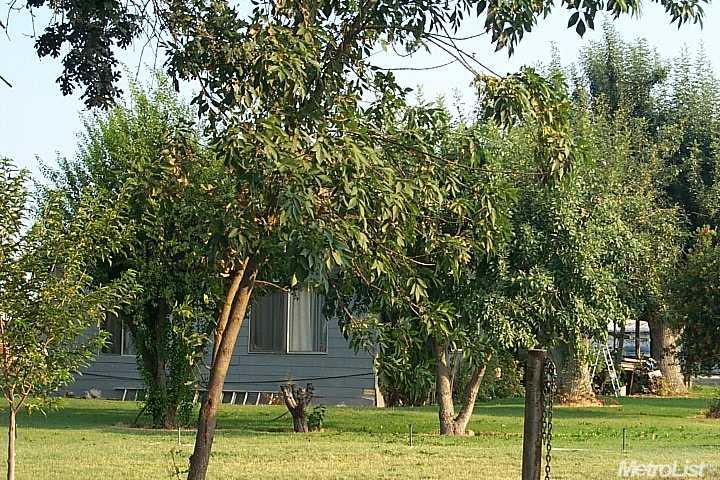 11413 E Live Oak Rd, Lodi, CA 95240 photo 1
