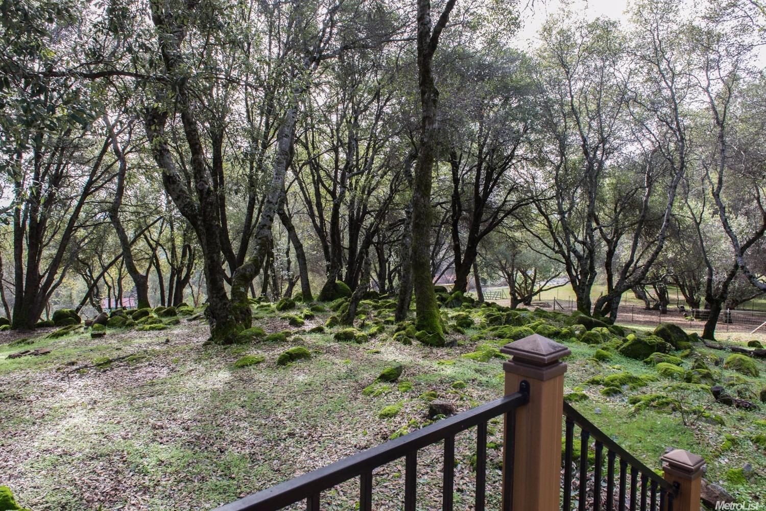 3309 Sand Ridge Rd, Placerville, CA 95667 photo 26
