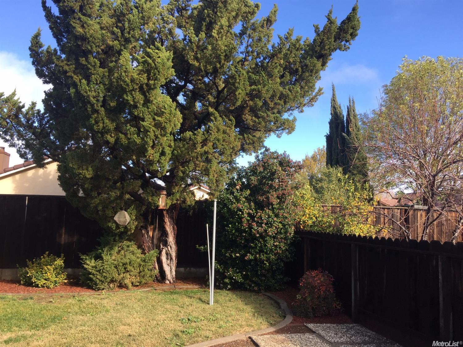 131 Ramona Way, Tracy, CA 95376 photo 22