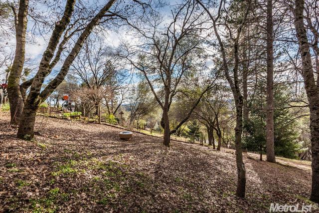 2052 Onion Flat Ct, Cool, CA 95614 photo 21