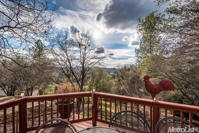 2052 Onion Flat Ct, Cool, CA 95614 photo 24