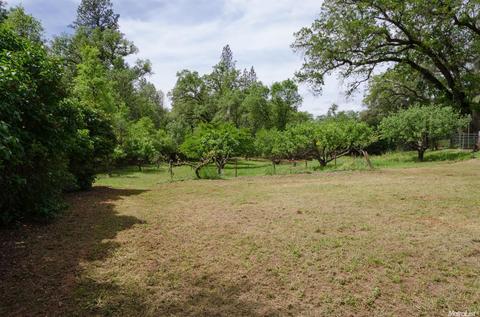 13441 Pine Gulch Ct, Sutter Creek, CA 95685 photo 34