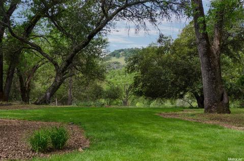 13441 Pine Gulch Ct, Sutter Creek, CA 95685 photo 18