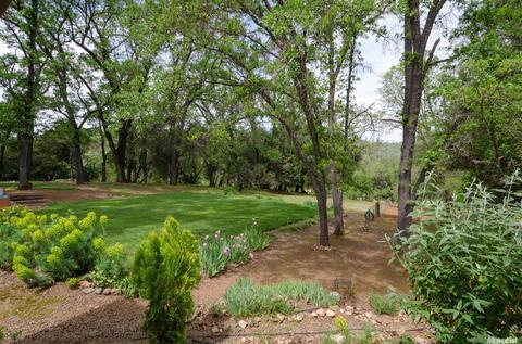 13441 Pine Gulch Ct, Sutter Creek, CA 95685 photo 19