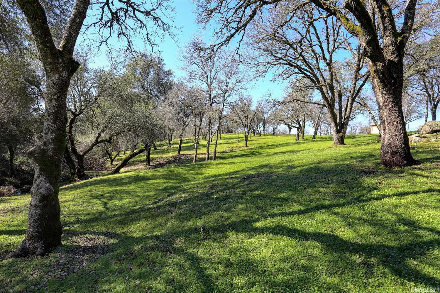 1220 Gold Strike Dr, Placerville, CA 95667 photo 26