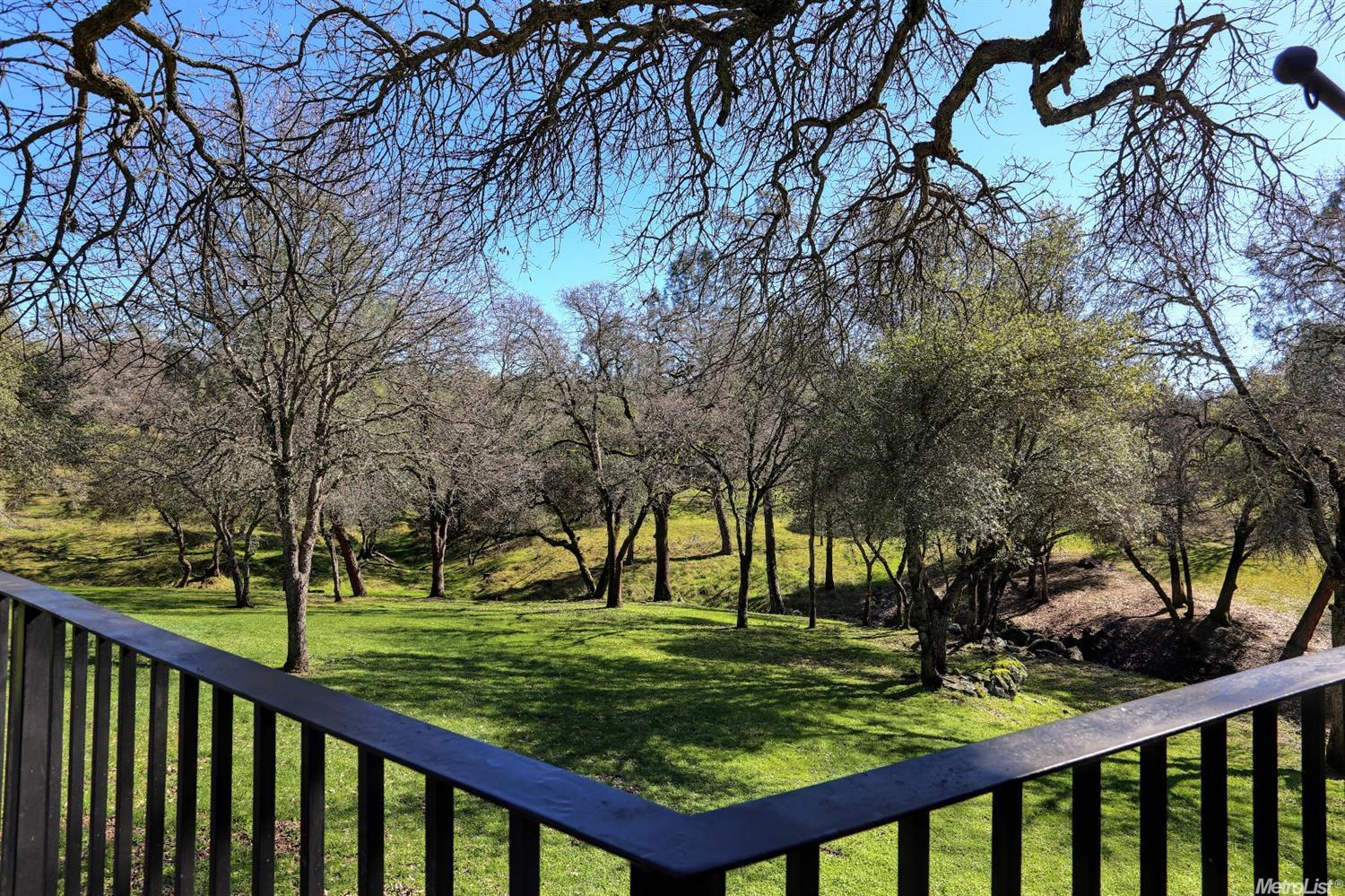 1220 Gold Strike Dr, Placerville, CA 95667 photo 13
