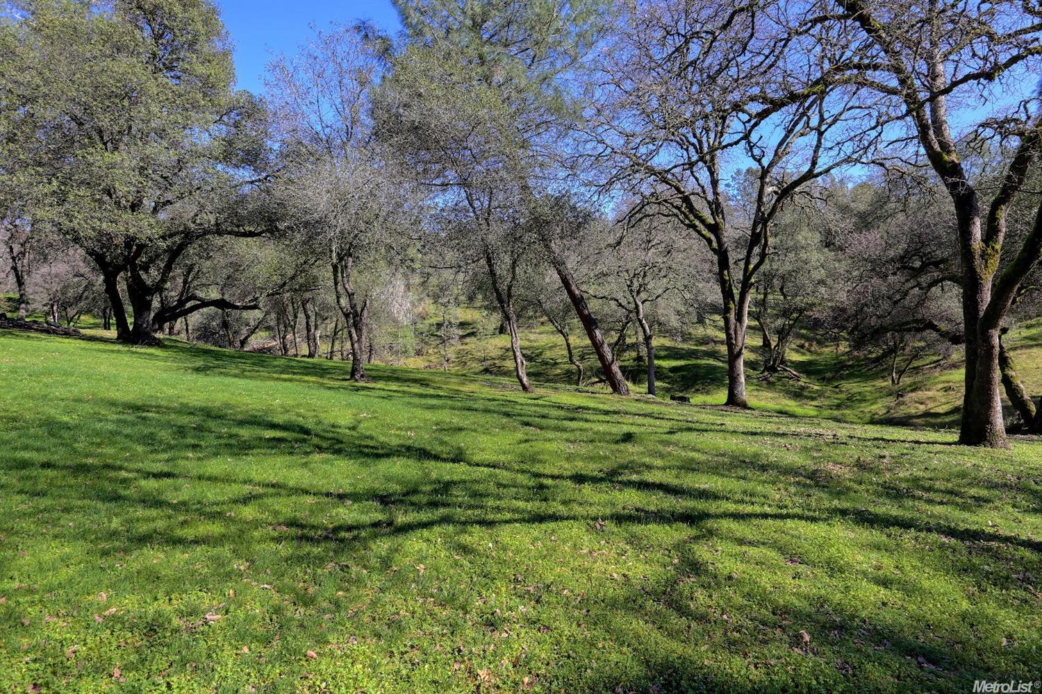 1220 Gold Strike Dr, Placerville, CA 95667 photo 17