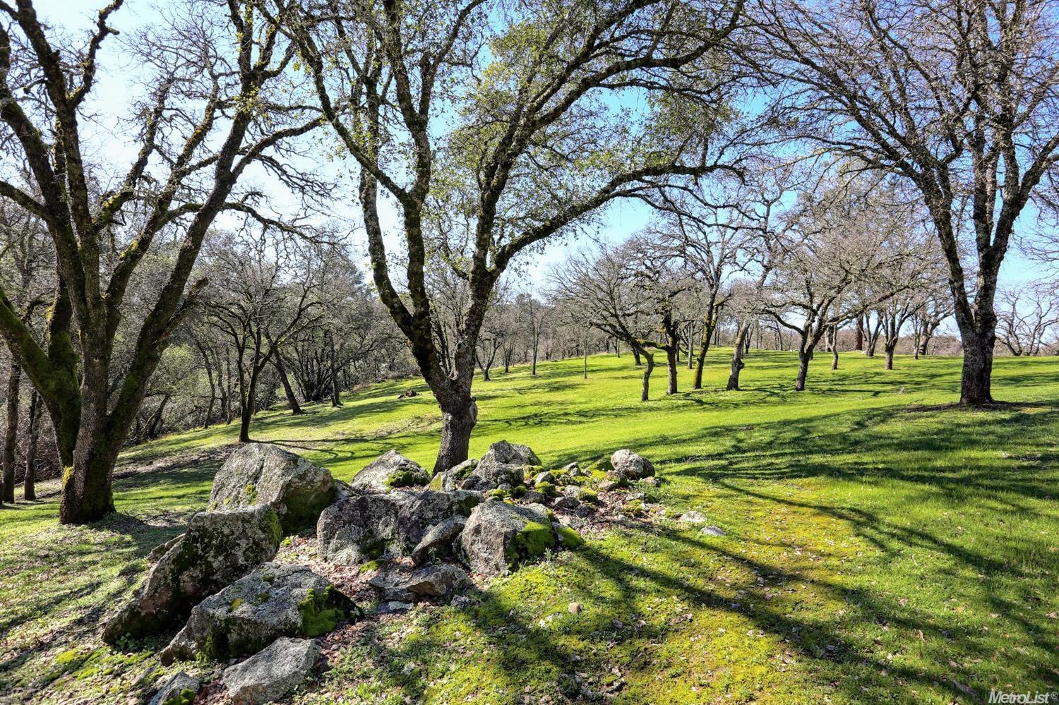 1220 Gold Strike Dr, Placerville, CA 95667 photo 25