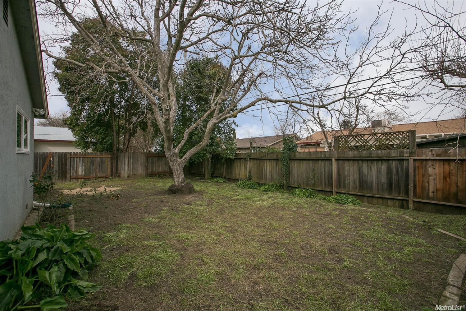 1410 L St, Davis, CA 95616 photo 22