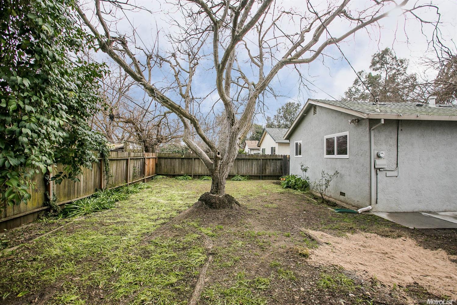 1410 L St, Davis, CA 95616 photo 21