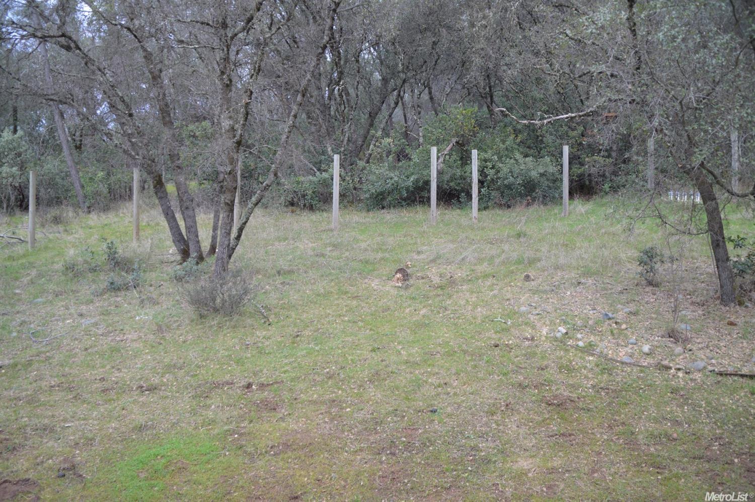 2256 Mulberry Ln, Placerville, CA 95667 photo 23