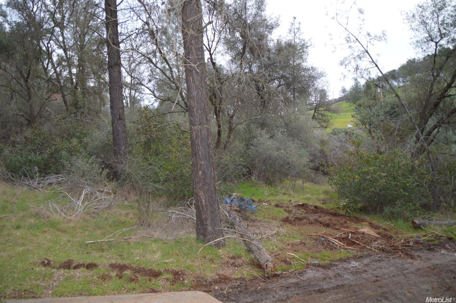 2256 Mulberry Ln, Placerville, CA 95667 photo 26
