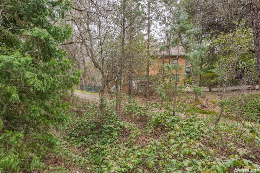 1356 Carson Rd, Placerville, CA 95667 photo 30