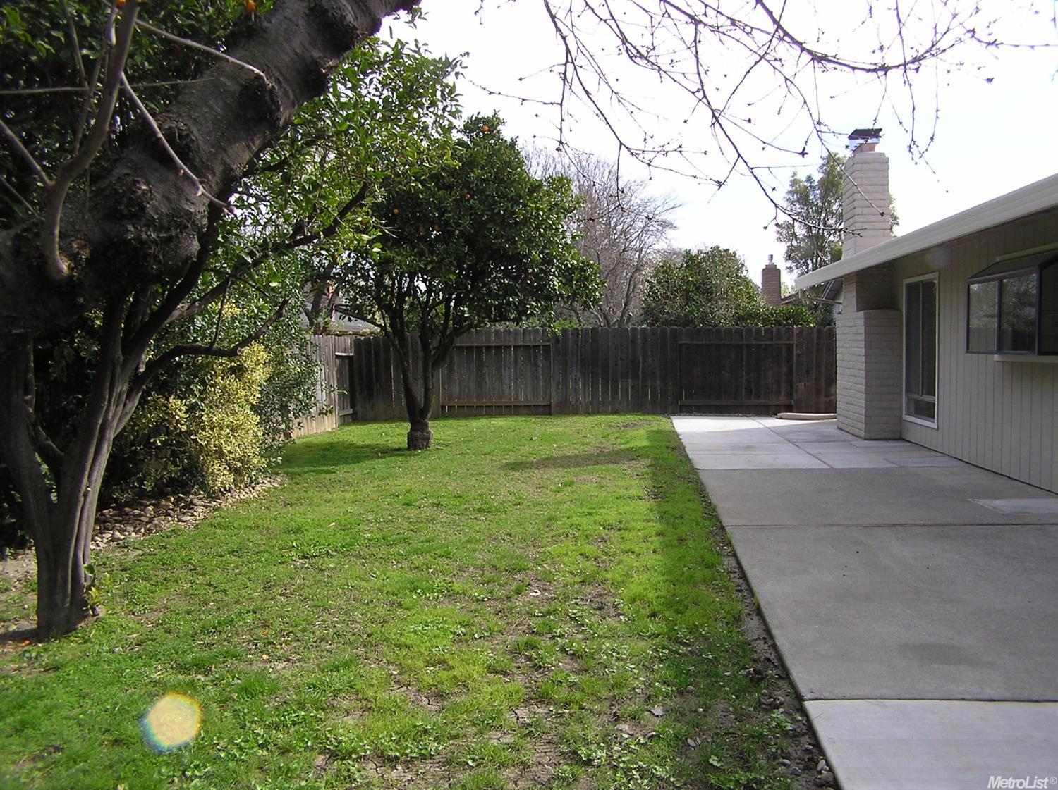 1151 Auburn Dr, Davis, CA 95616 photo 13
