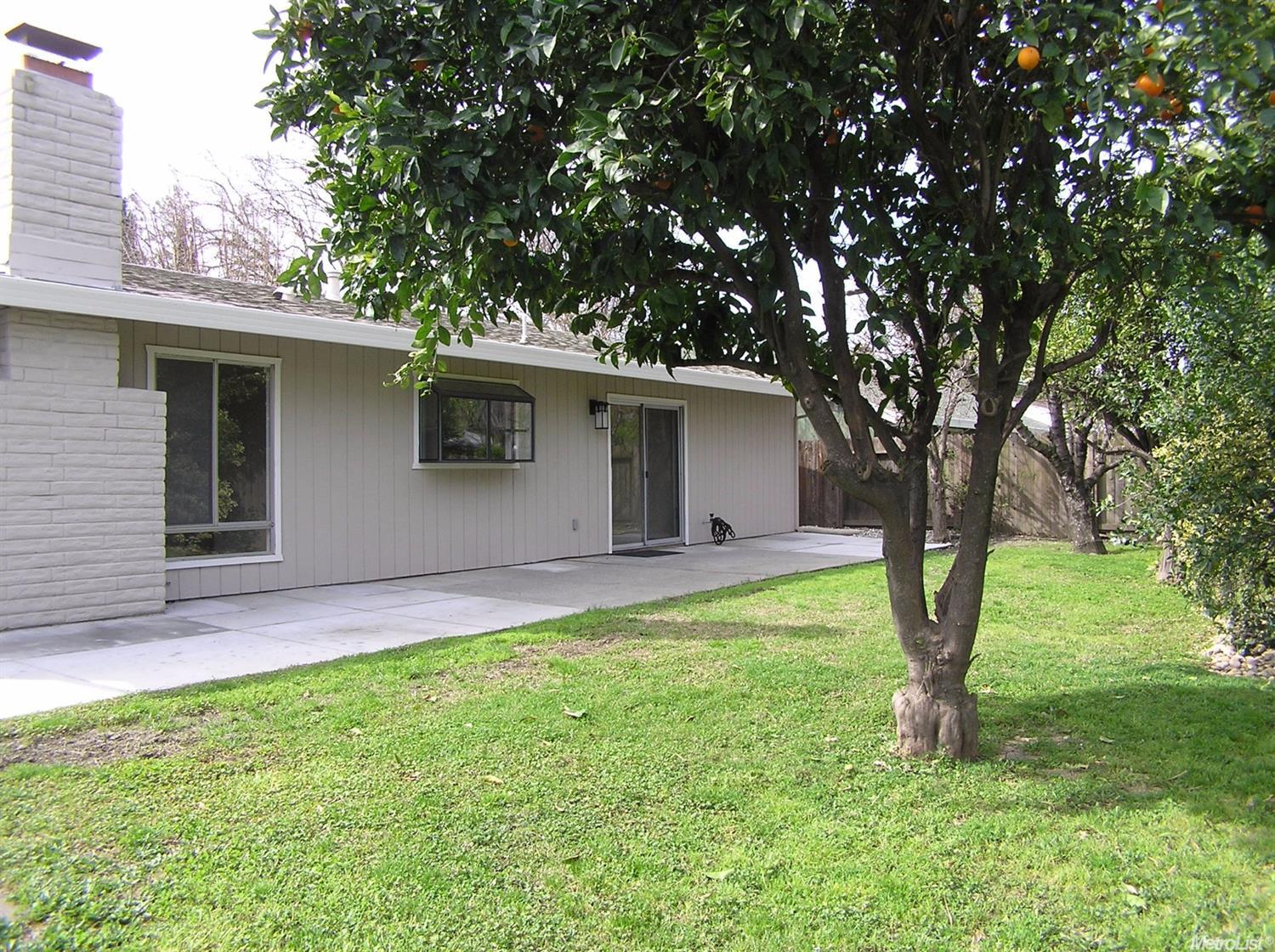 1151 Auburn Dr, Davis, CA 95616 photo 5