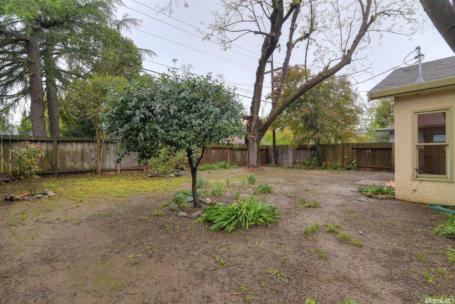 1013 Chestnut Ln, Davis, CA 95616 photo 20