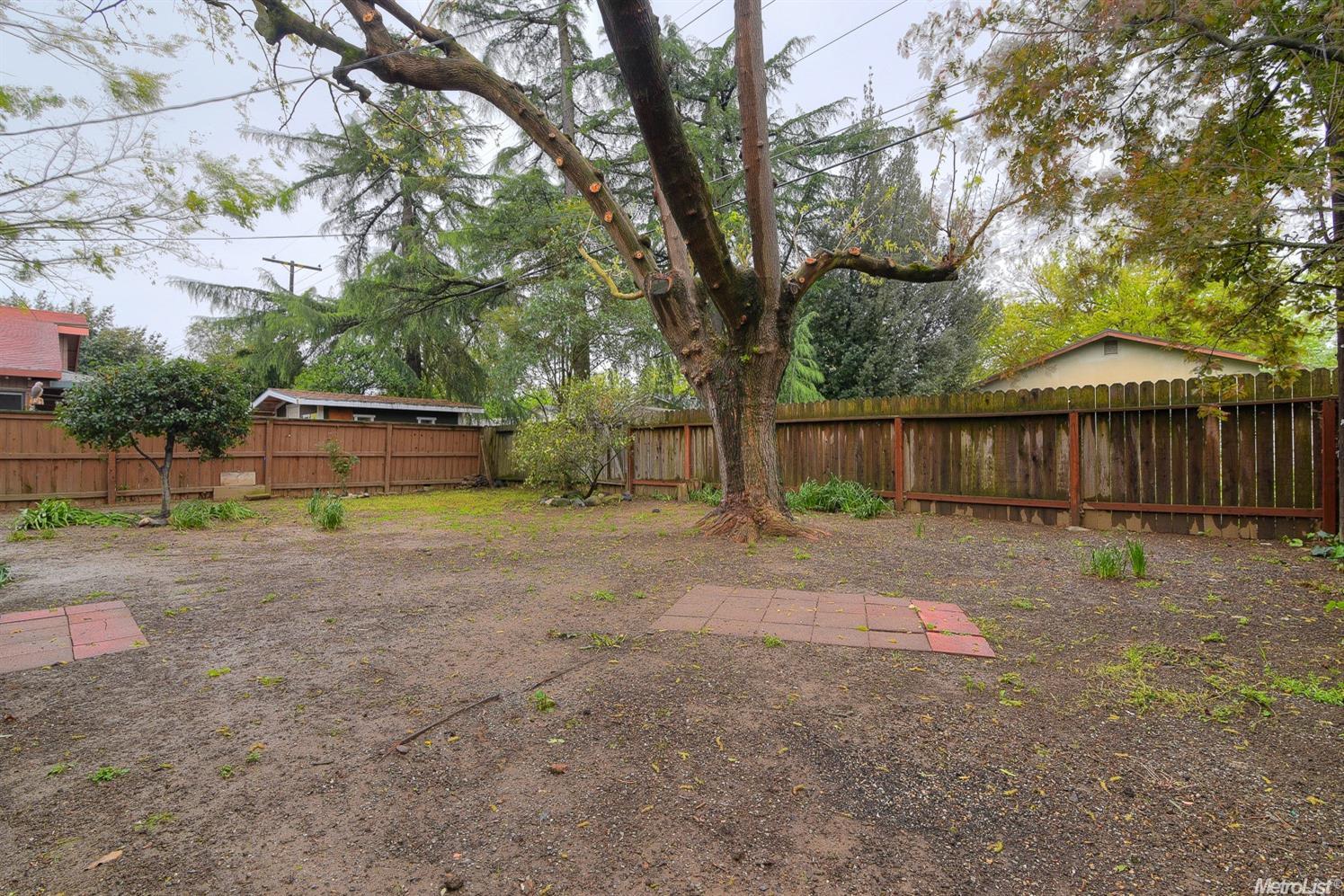 1013 Chestnut Ln, Davis, CA 95616 photo 21