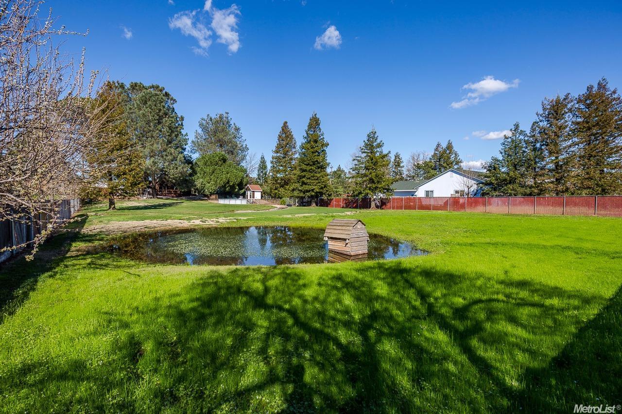 360 Elverta Rd, Elverta, CA 95626 photo 21