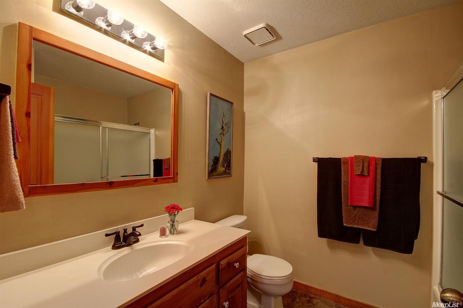 3601 Bird Haven Loop, Cool, CA 95614 photo 19