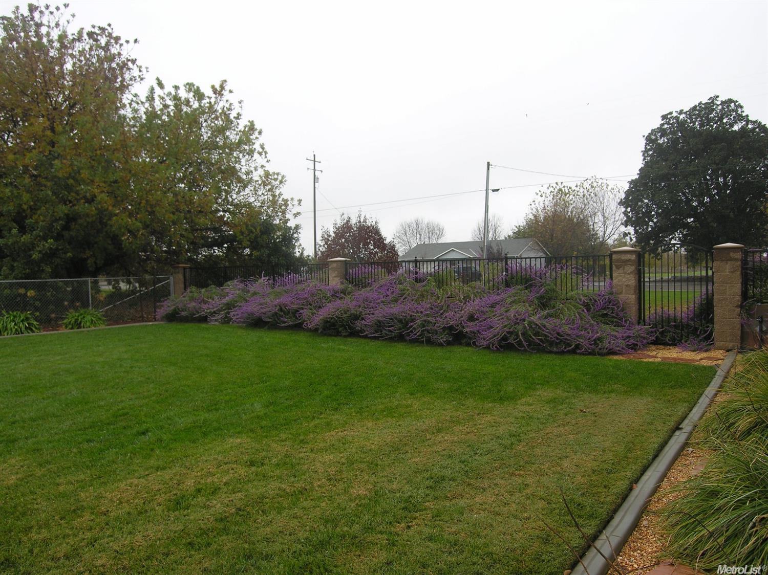 2480 George Rd, Williams, CA 95987 photo 5