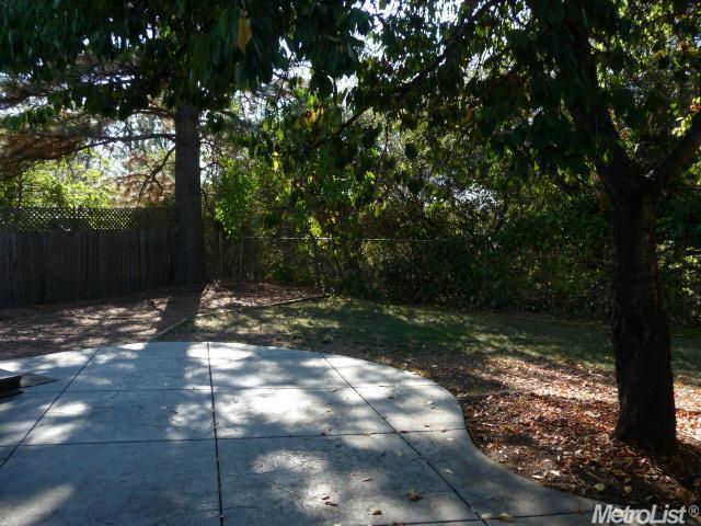2876 Grandview St, Placerville, CA 95667 photo 11