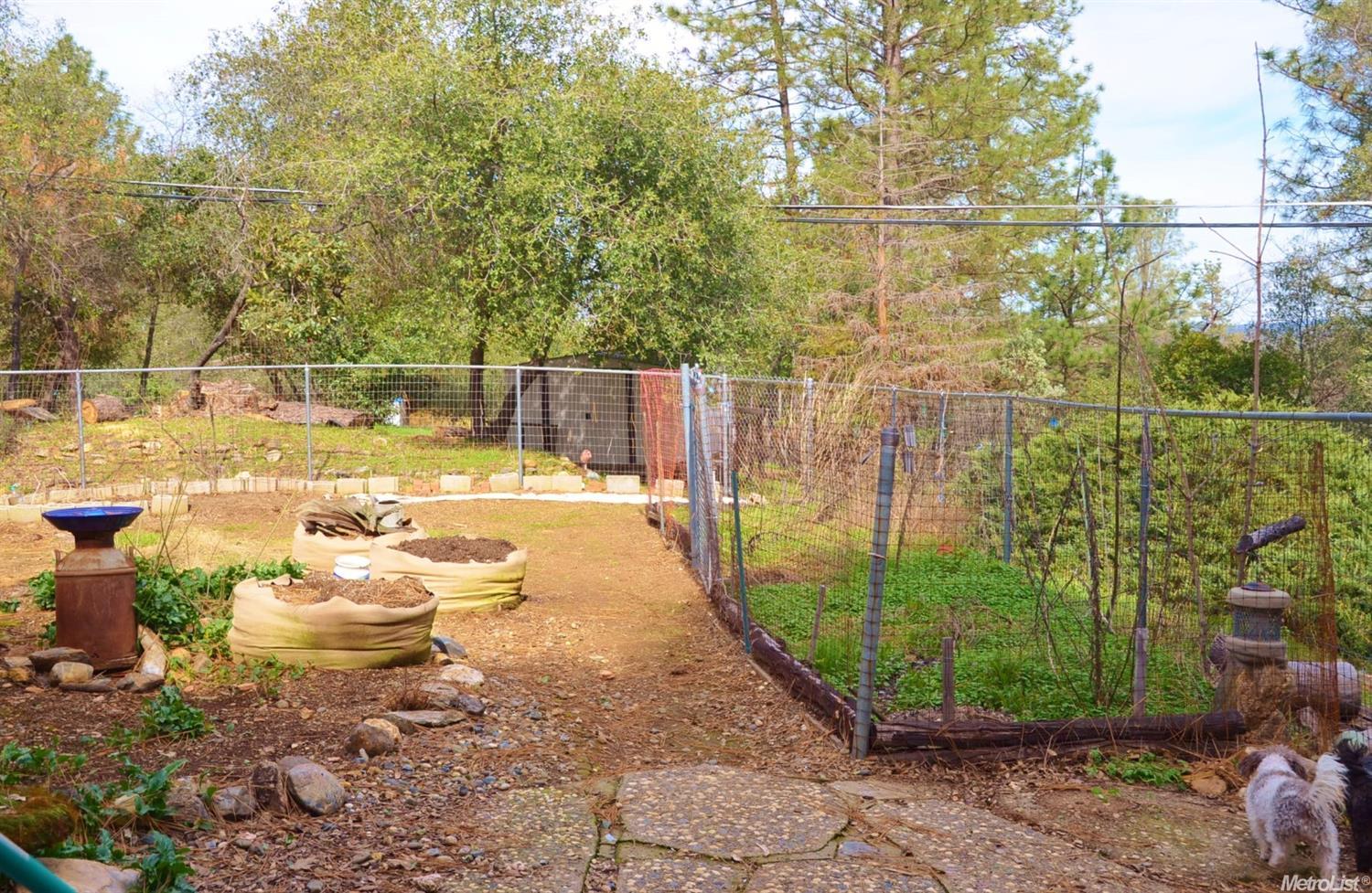 2520 Morrene Dr, Placerville, CA 95667 photo 15