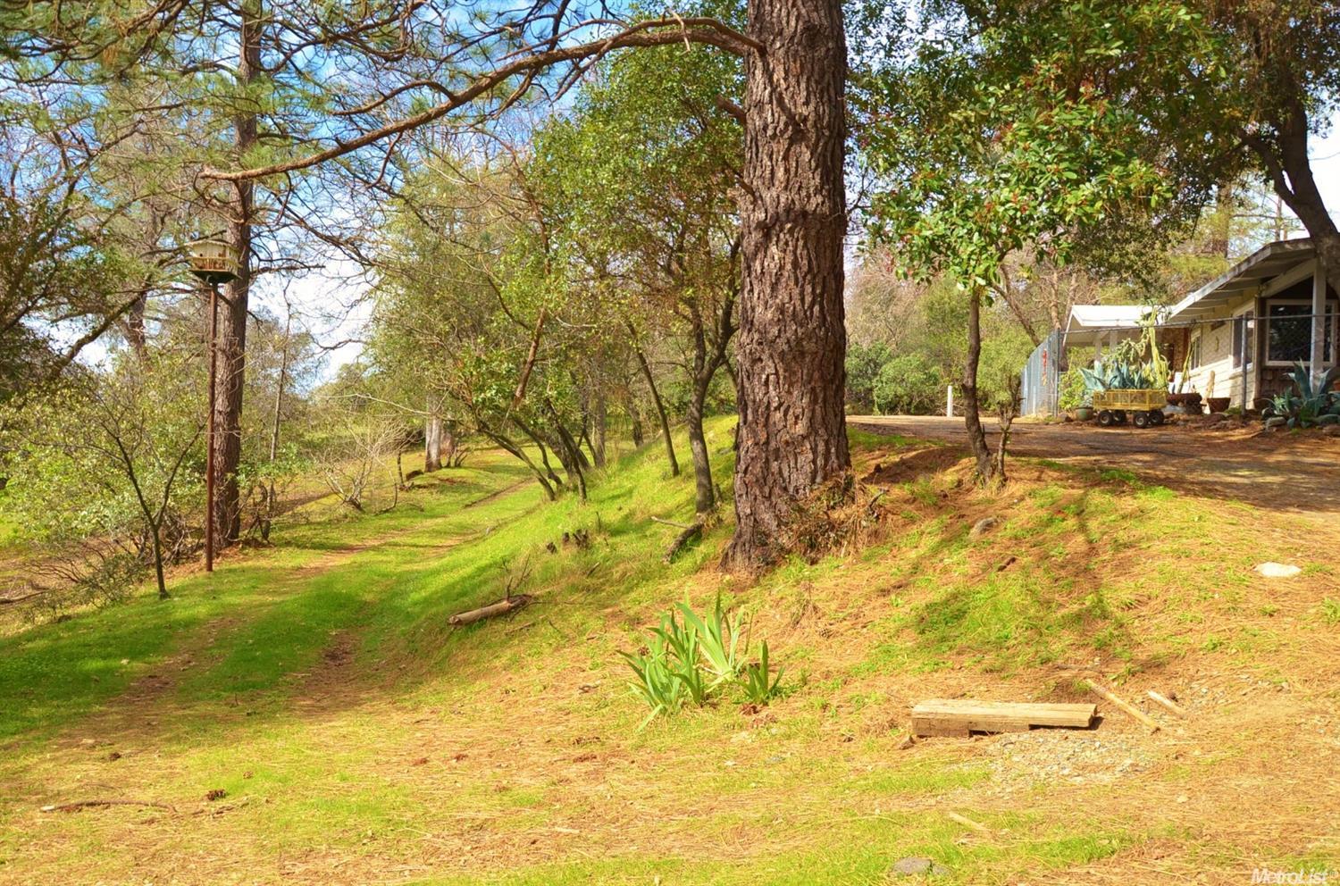 2520 Morrene Dr, Placerville, CA 95667 photo 16