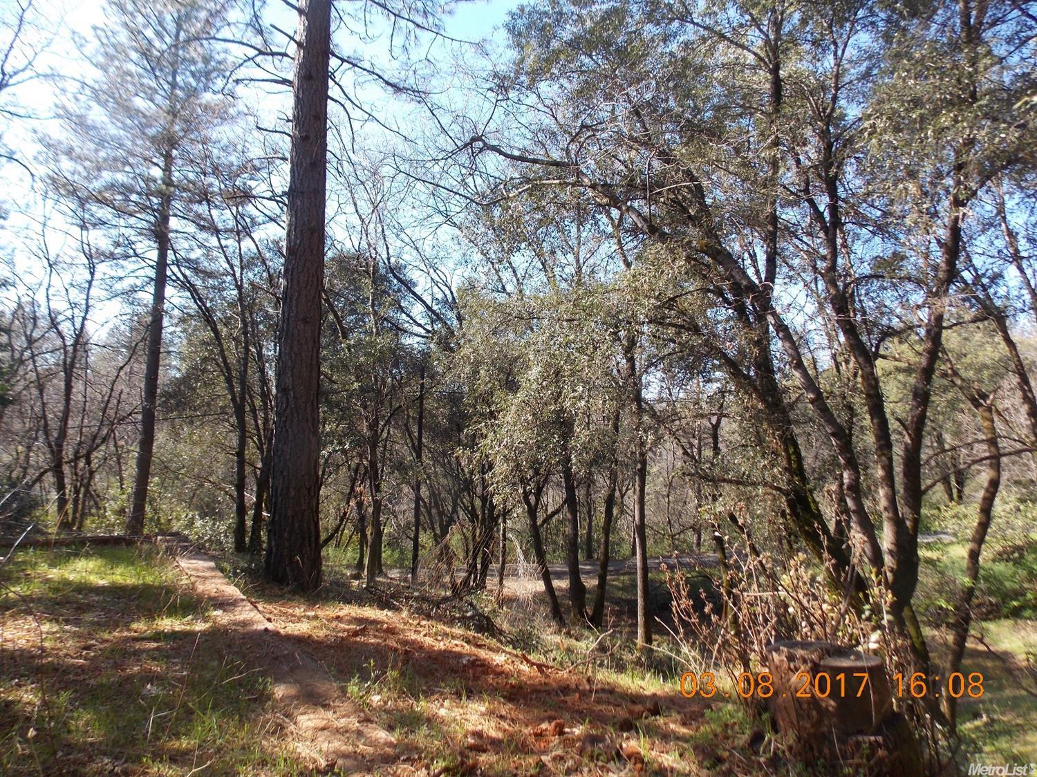 16800 Old Stagecoach Rd, Applegate, CA 95703 photo 14