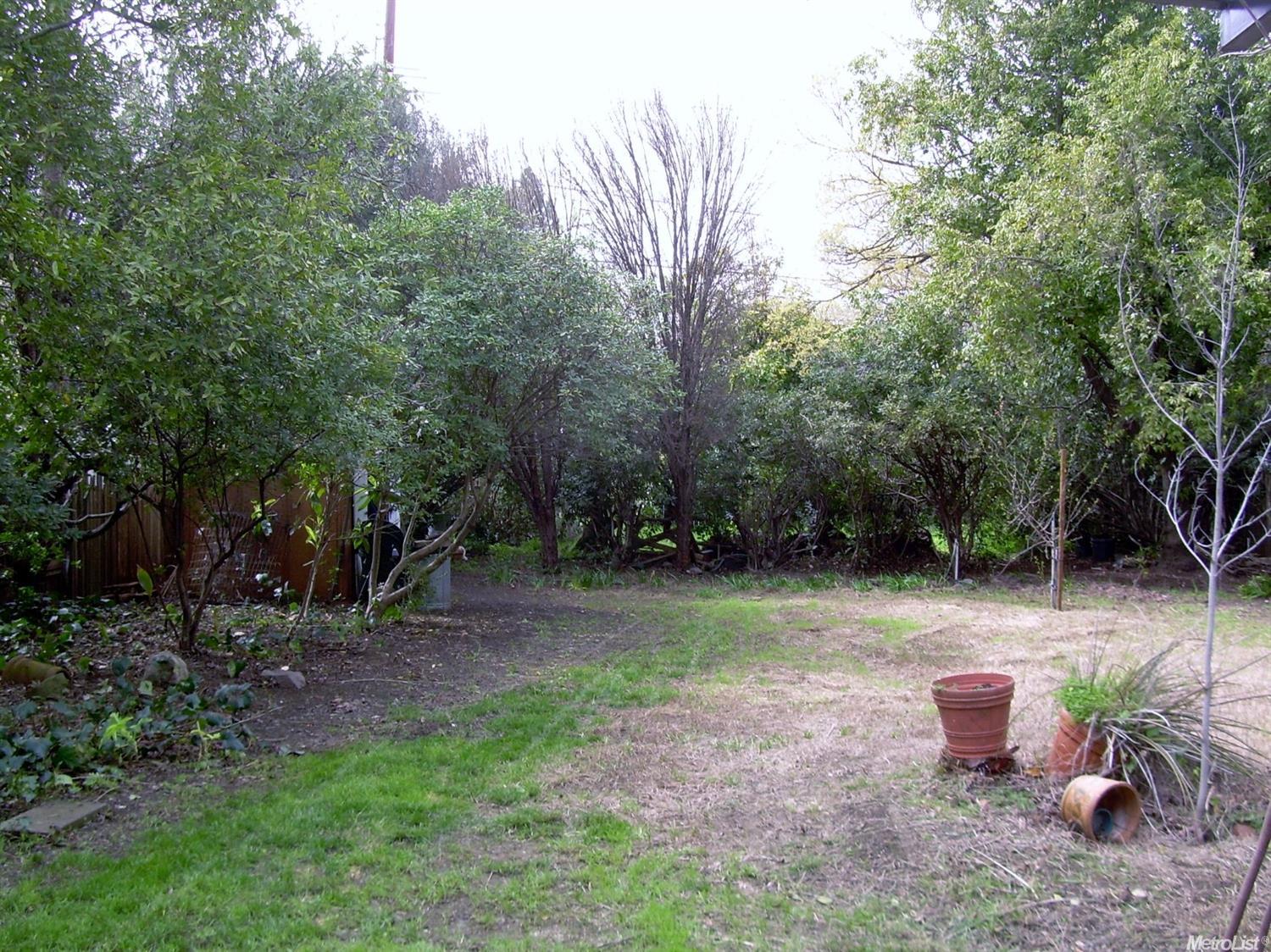 907 L St, Davis, CA 95616 photo 16