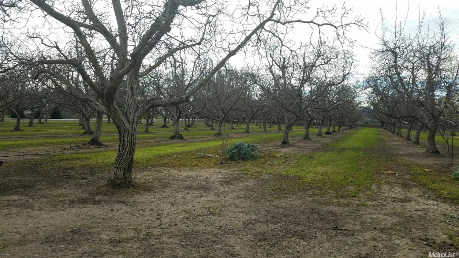 6018 Madden Ave, Live Oak, CA 95953 photo 20