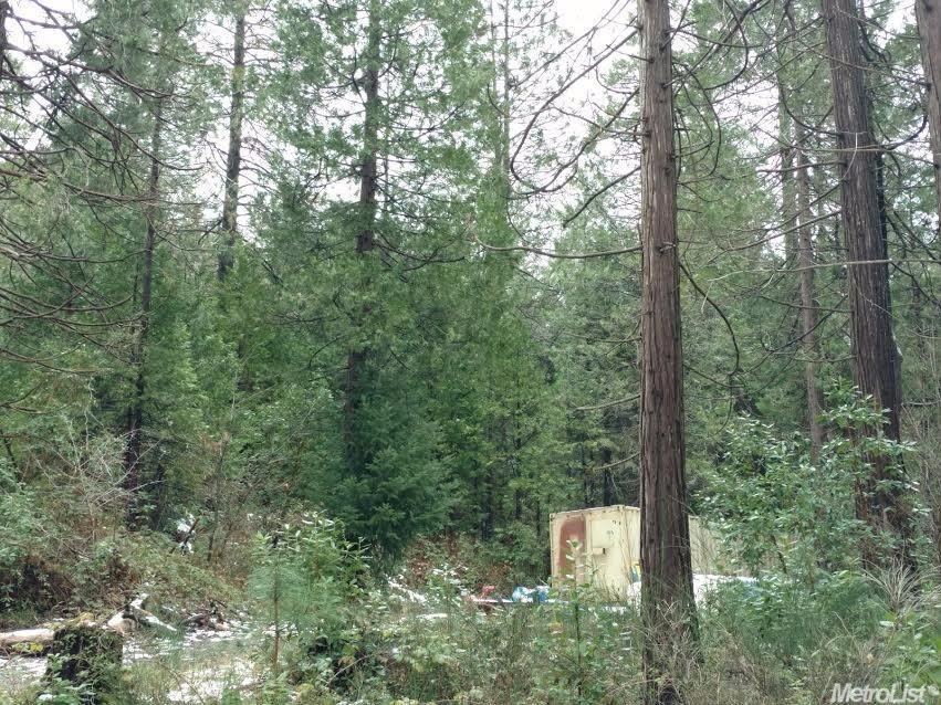 3235 Oregon Trl, Georgetown, CA 95634 photo 12